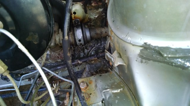 IMG_20140621_143842759