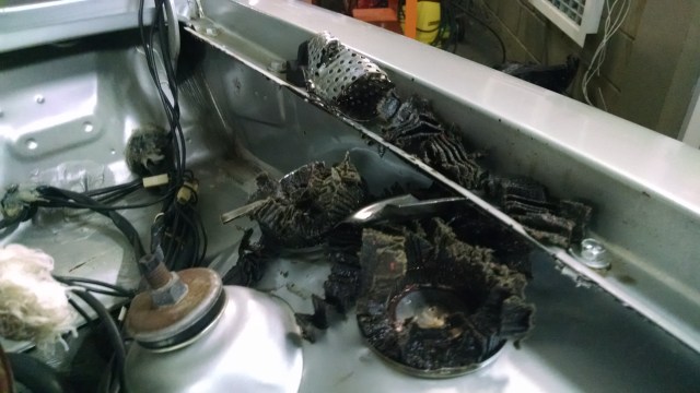 IMG_20150812_194626006