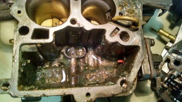 IMG_20150904_090818444_HDR