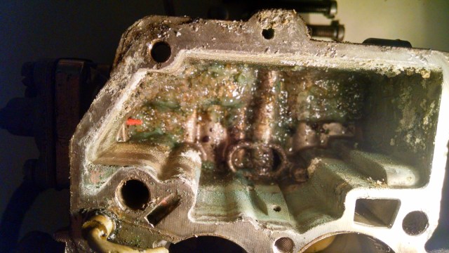 IMG_20150904_144110518_HDR