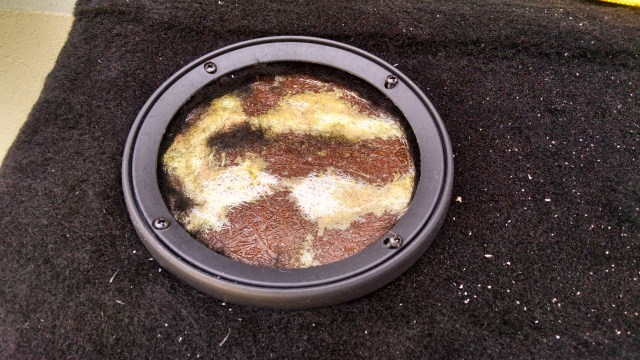 IMG_20150905_121233714_HDR