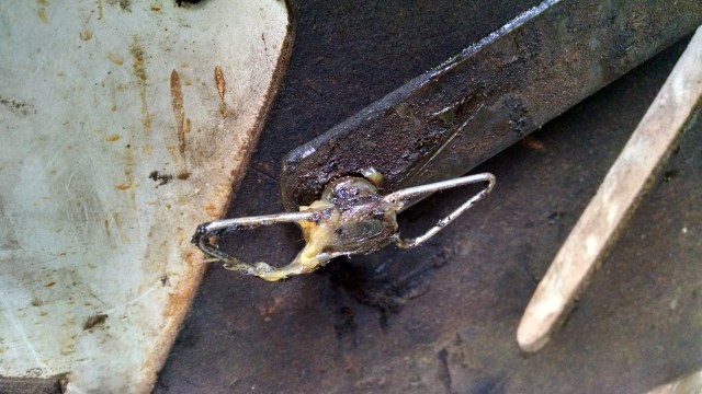 IMG_20151012_100941405_HDR