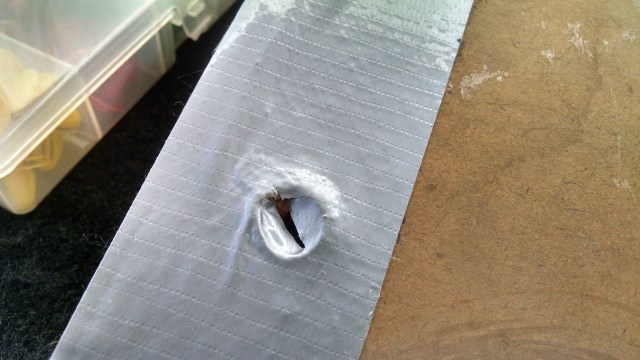 IMG_20171228_115244187_HDR